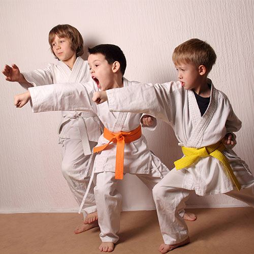 lzlcompanyNamelzl kids practicing Karate punches