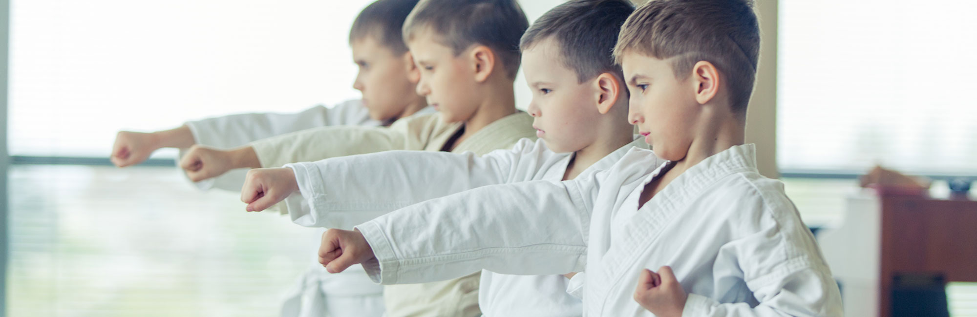 lzlcompanyNamelzl Kids practicing lzlmartialStylelzl